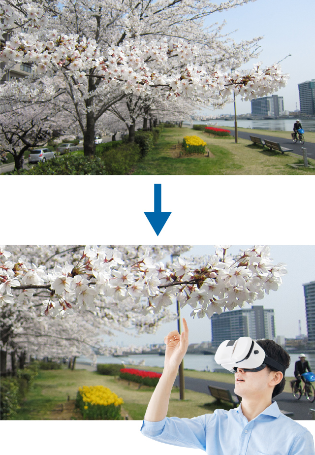 体験型3D・VR映像